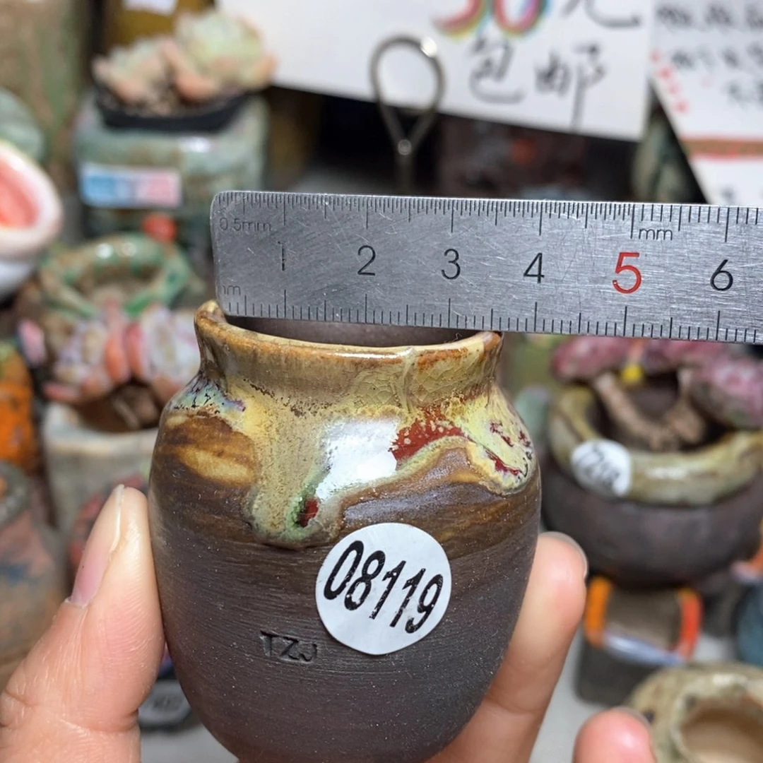 花盆拍5送一个小礼物