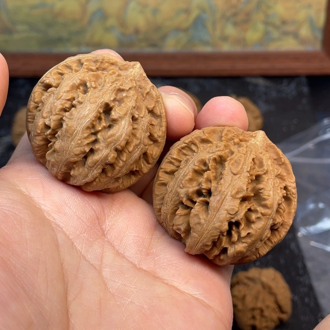 核桃12号链接121212