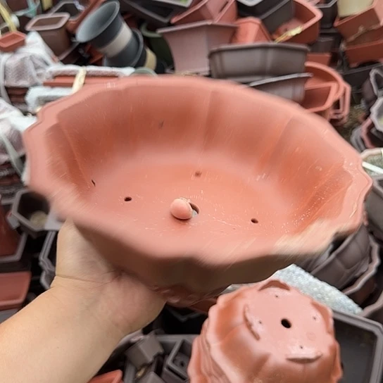 我想说什么我会和他们商量我想