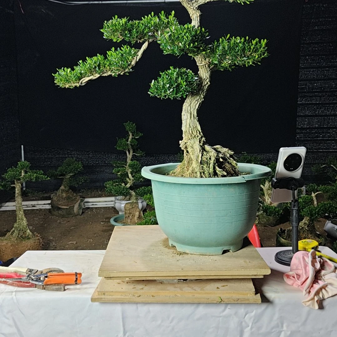 【闪购商品】完全开放不**心