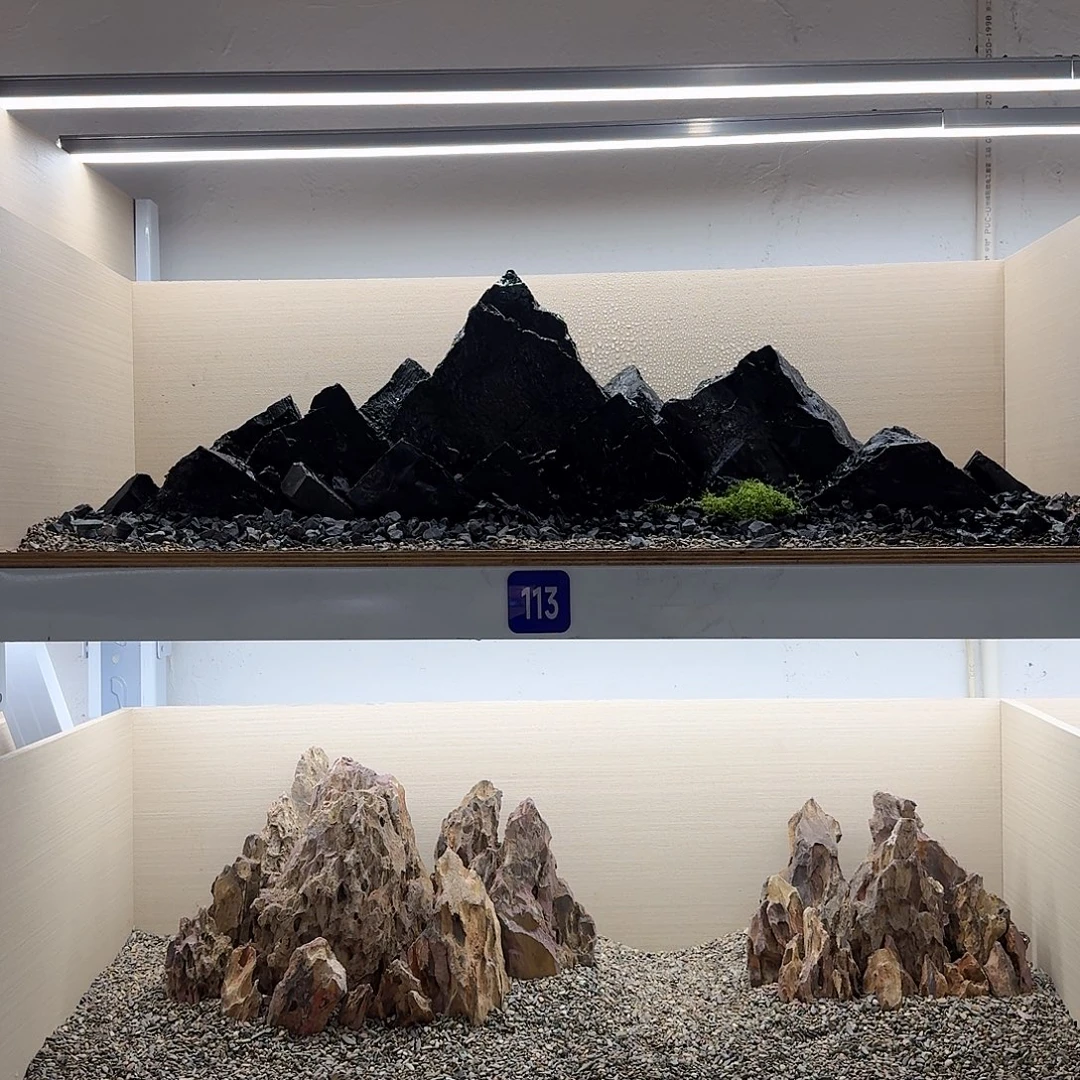 113号造景送50斤底沙