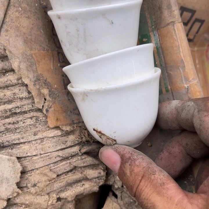 骨瓷酒杯4个50容量