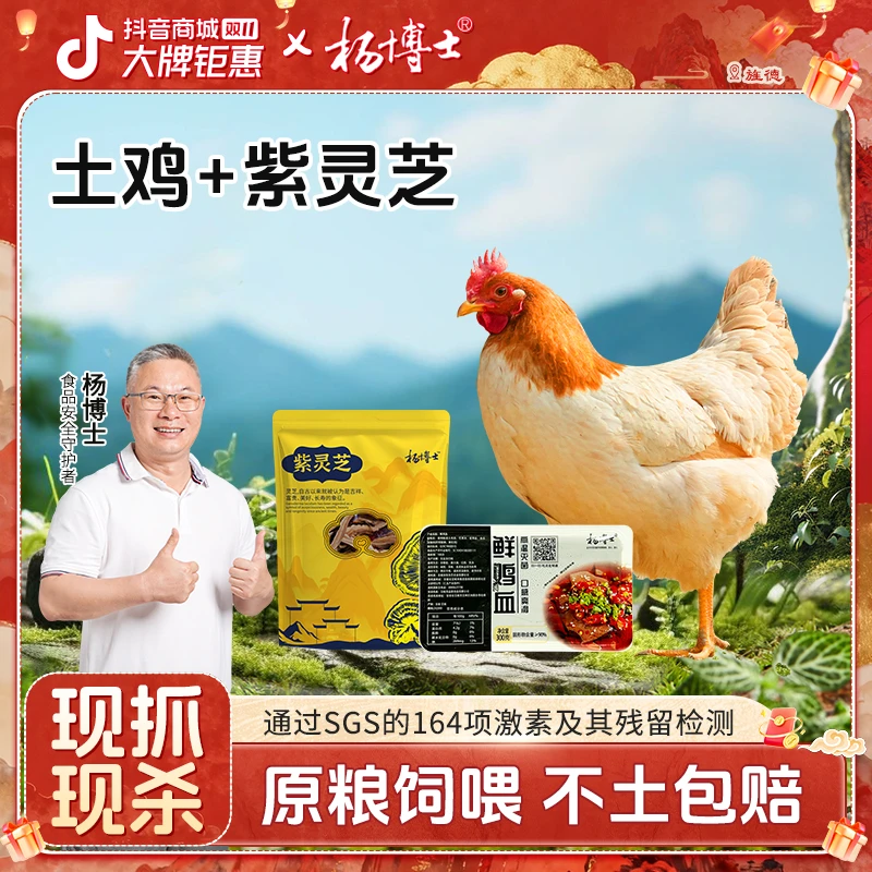 【满屋飘香老母鸡】杨博士土鸡皖南散养现杀老母鸡 包冰率不含冰