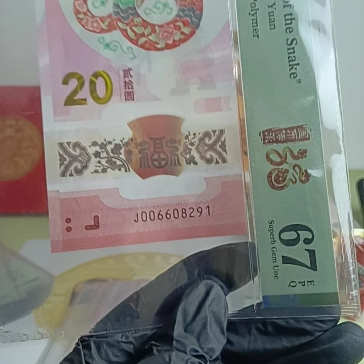 塑料蛇钞朦胧006608291