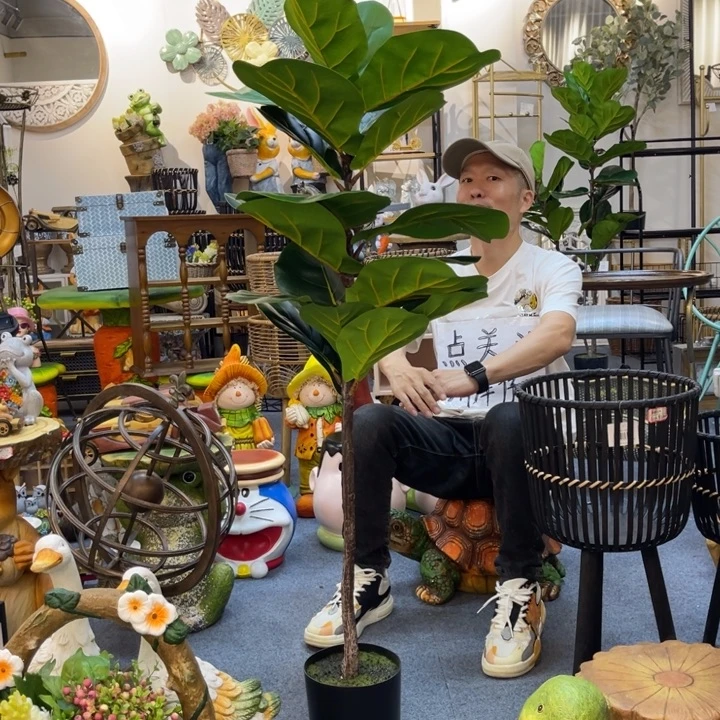 摆件绿植哈哈哈哈哈哈哈