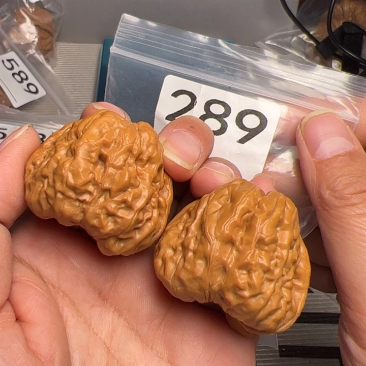 核桃边40肚41尺289号