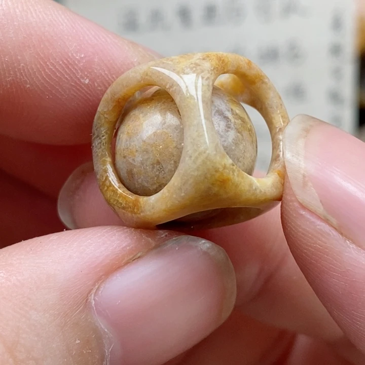 硅化珊瑚（珊瑚玉）未镶嵌颈饰小