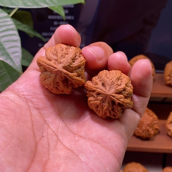 文玩核桃把件大粗筋33尺009全品