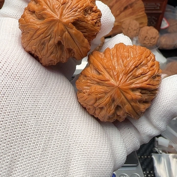 文玩核桃吊坠骨王御尊40尺