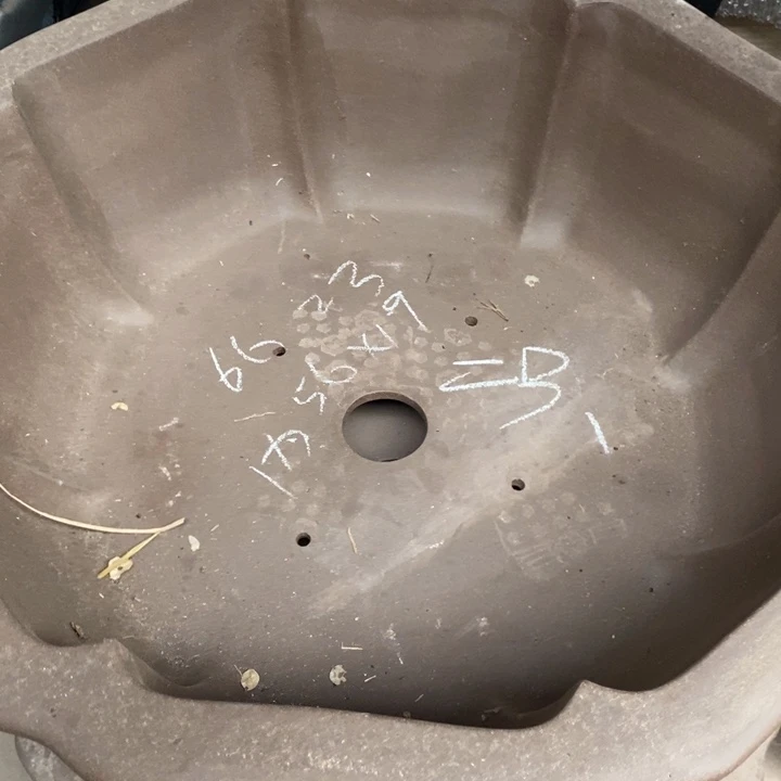 很***了紫砂花盆只顾看电视剧罢了
