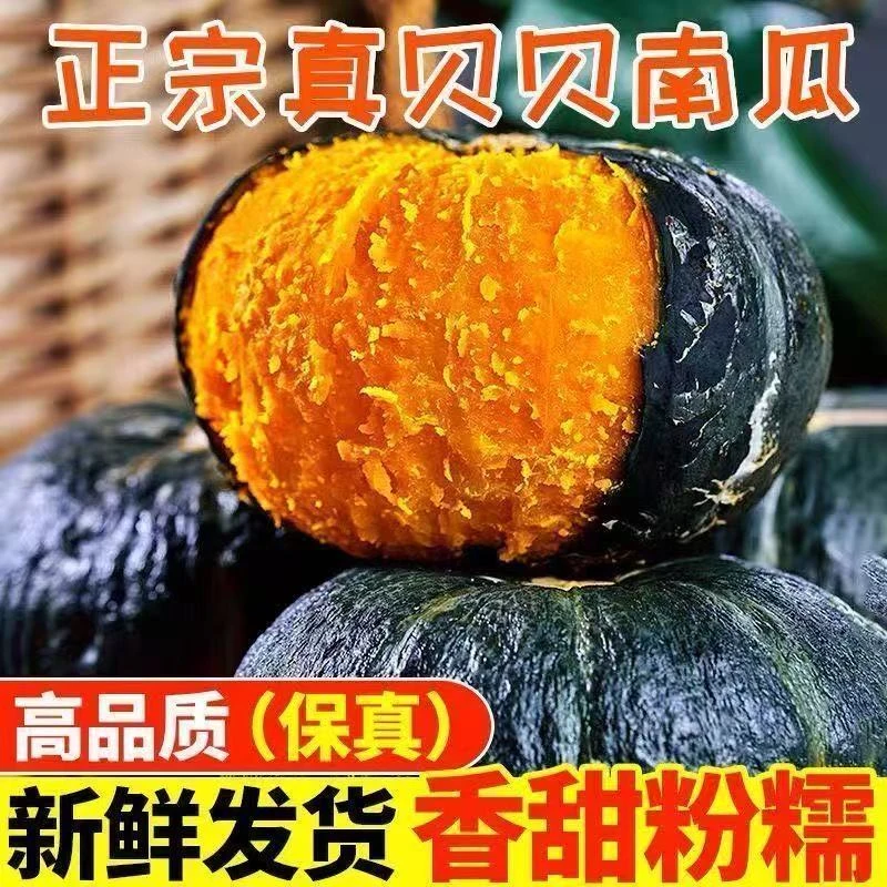 【五斤】贝贝南瓜板栗味新鲜粉糯甜孕妇宝宝小南瓜辅食整箱