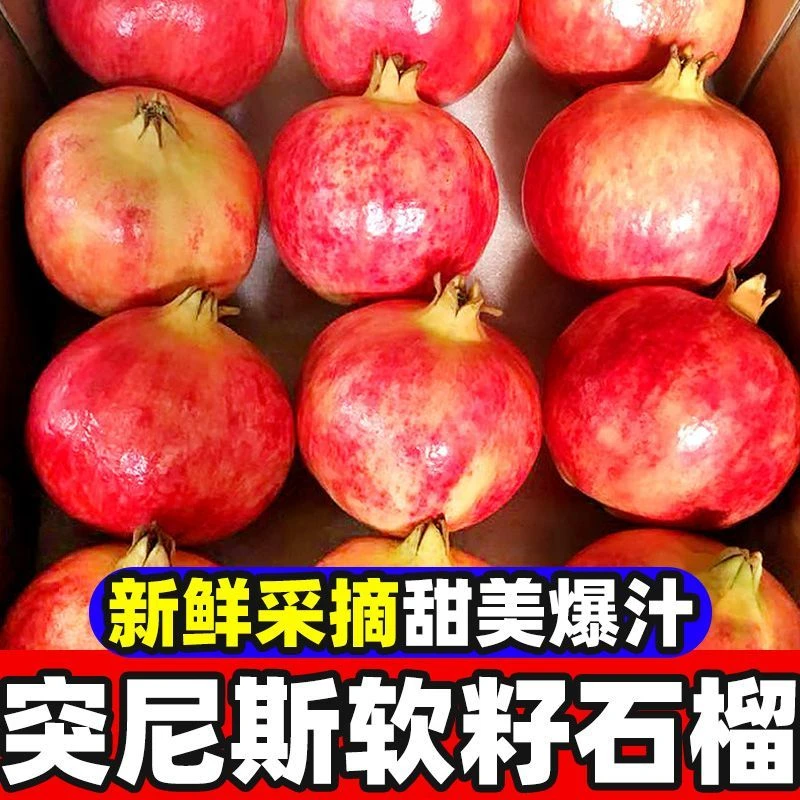 【新鲜速发】四川会理软籽石榴新鲜当季水果现摘红心甜石榴青皮石榴