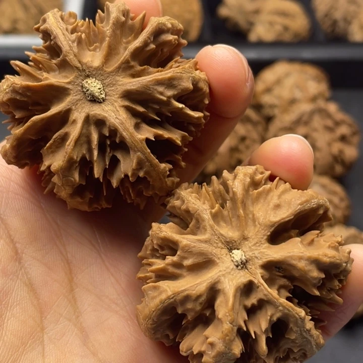 吊坠文玩核桃突突突突突突