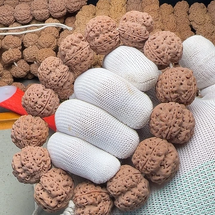 菩提籽类金刚菩提24深沟梅花