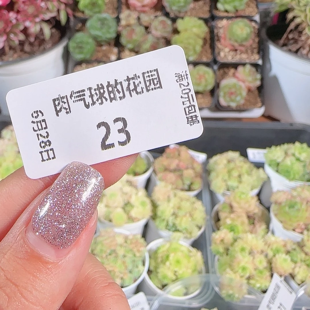 0628-,-23糖心15颗1cm任意发