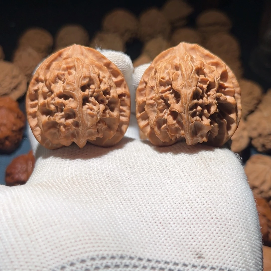 核桃42.5毕业三角苹果园