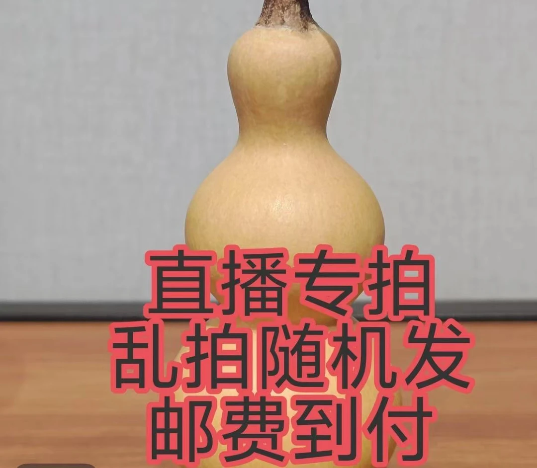 文玩小葫芦 大全 直播间专用链接一物一拍 不要私自下单