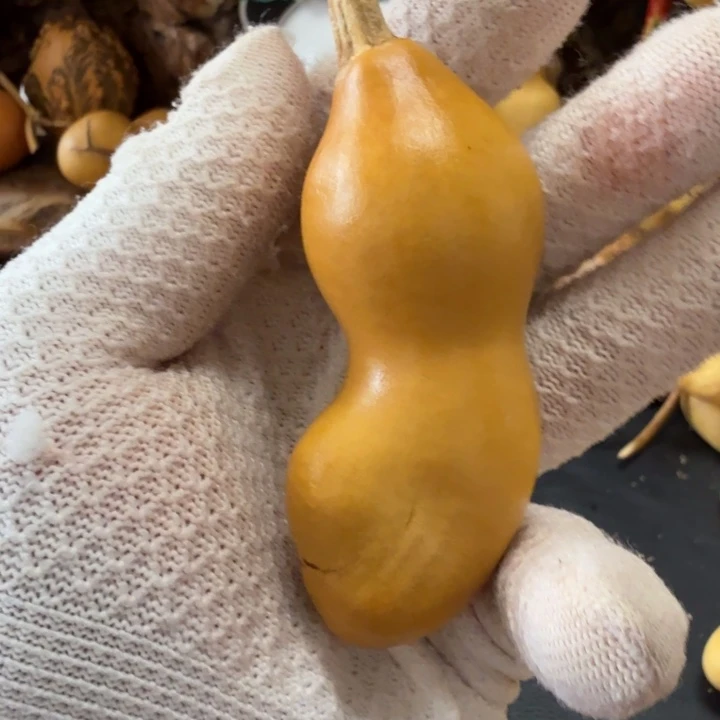 白****天裂66666666667777