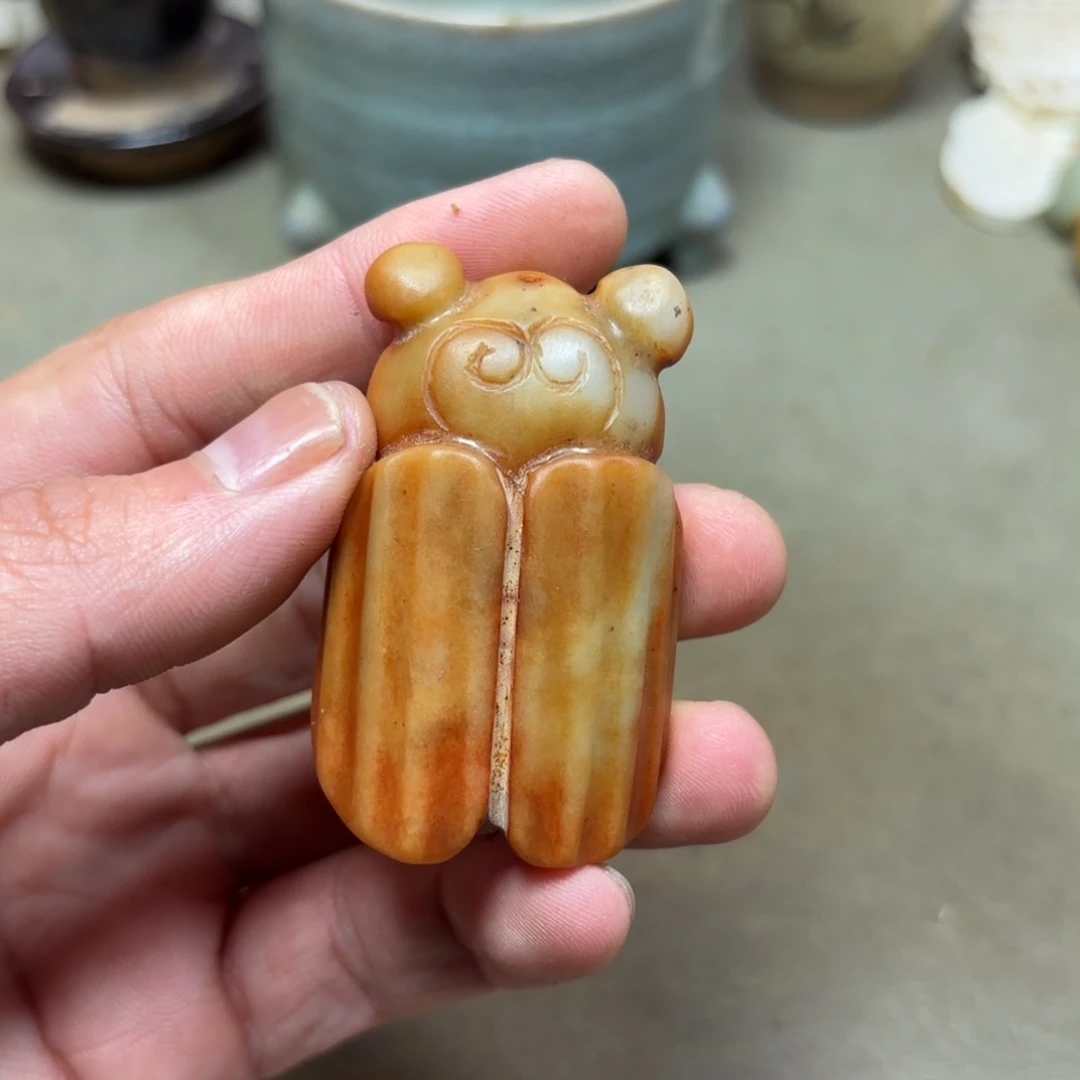 这个物件挺老气啊