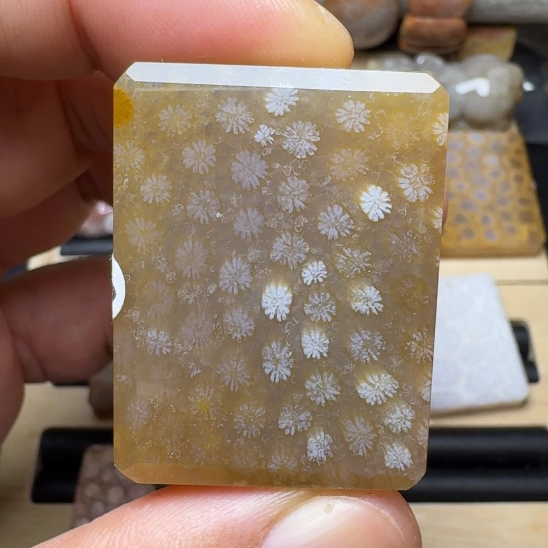 硅化玉未镶嵌纯天然色有机玉石保真色