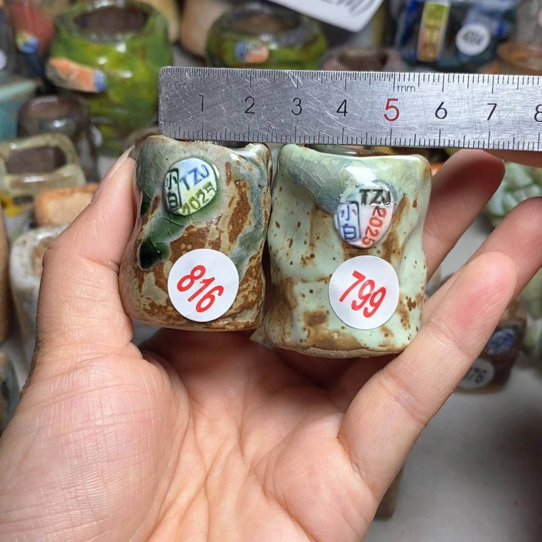 拍5送一个小礼物