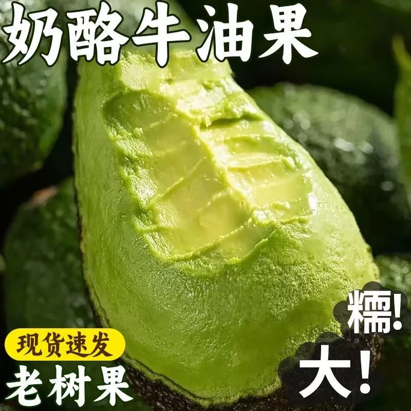 秘鲁哈斯牛油果新鲜即食孕妇宝宝辅食水果 6枚单果100-130g进口