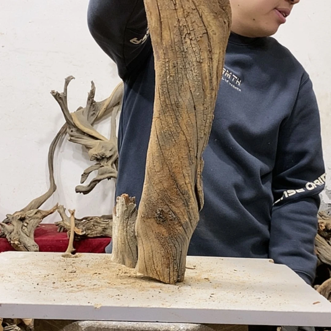 【闪购商品】柏木展****）我们都是好孩子