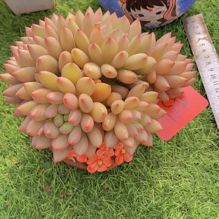 还*吧在家里面吃饭的话