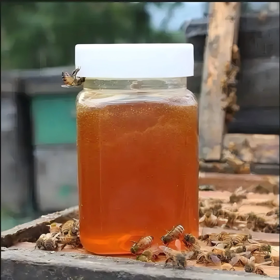 [徽姑娘专属]徽州土蜂蜜500g自产百花蜜