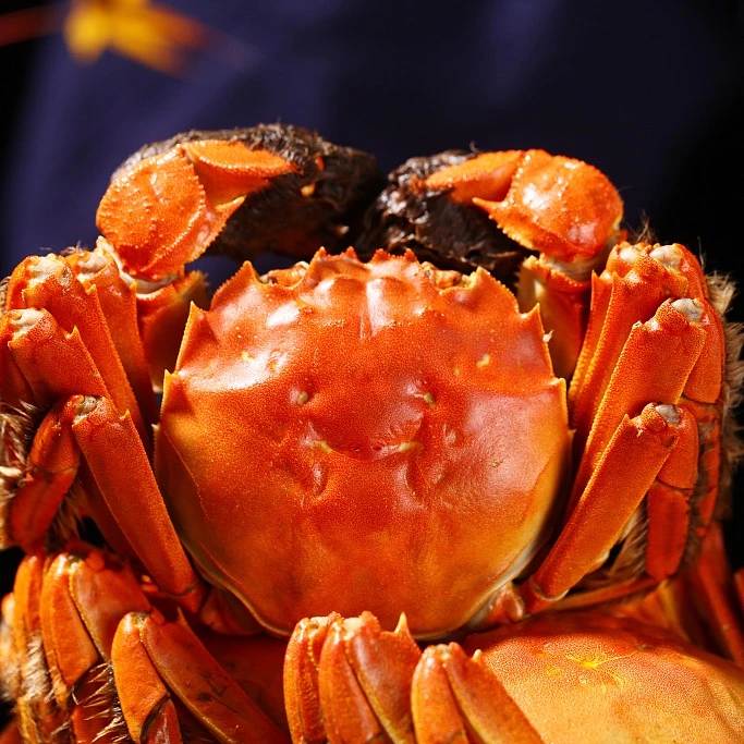 【活蟹】精挑大闸蟹公6.0-5.7两母4.0-3.7两共6/10只装鲜活冷链MM4