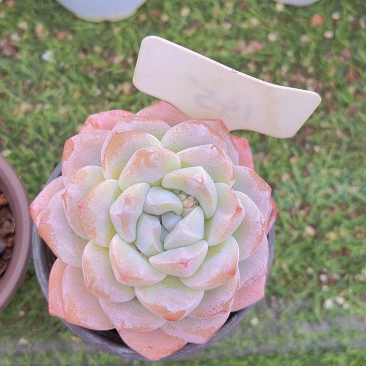 健健康康平平安安