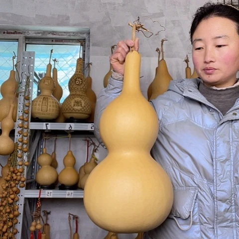 蓝*天然植物葫芦文玩