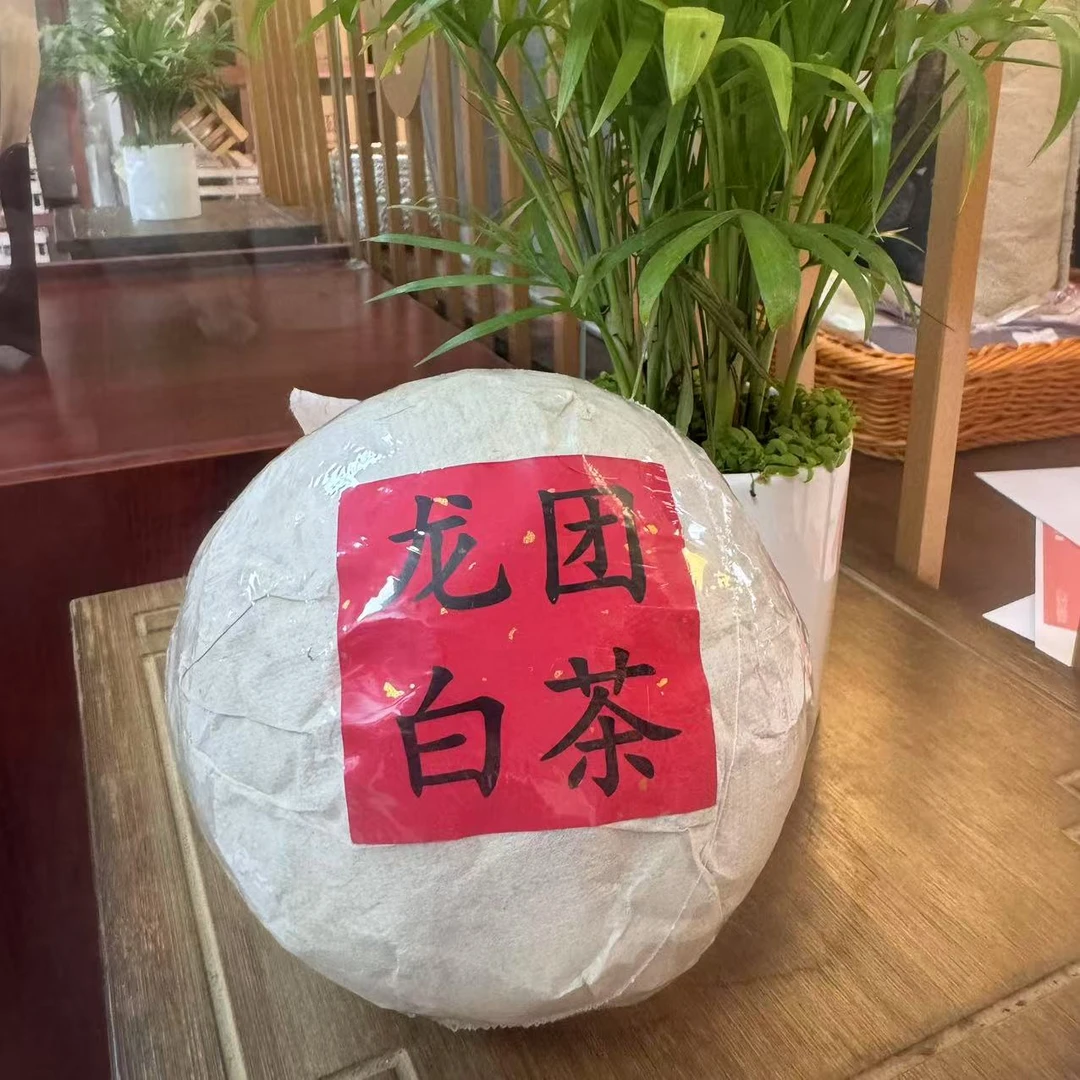 【茶山小原】六年干仓景迈白茶龙团2019年普洱白茶沱（带茶样）