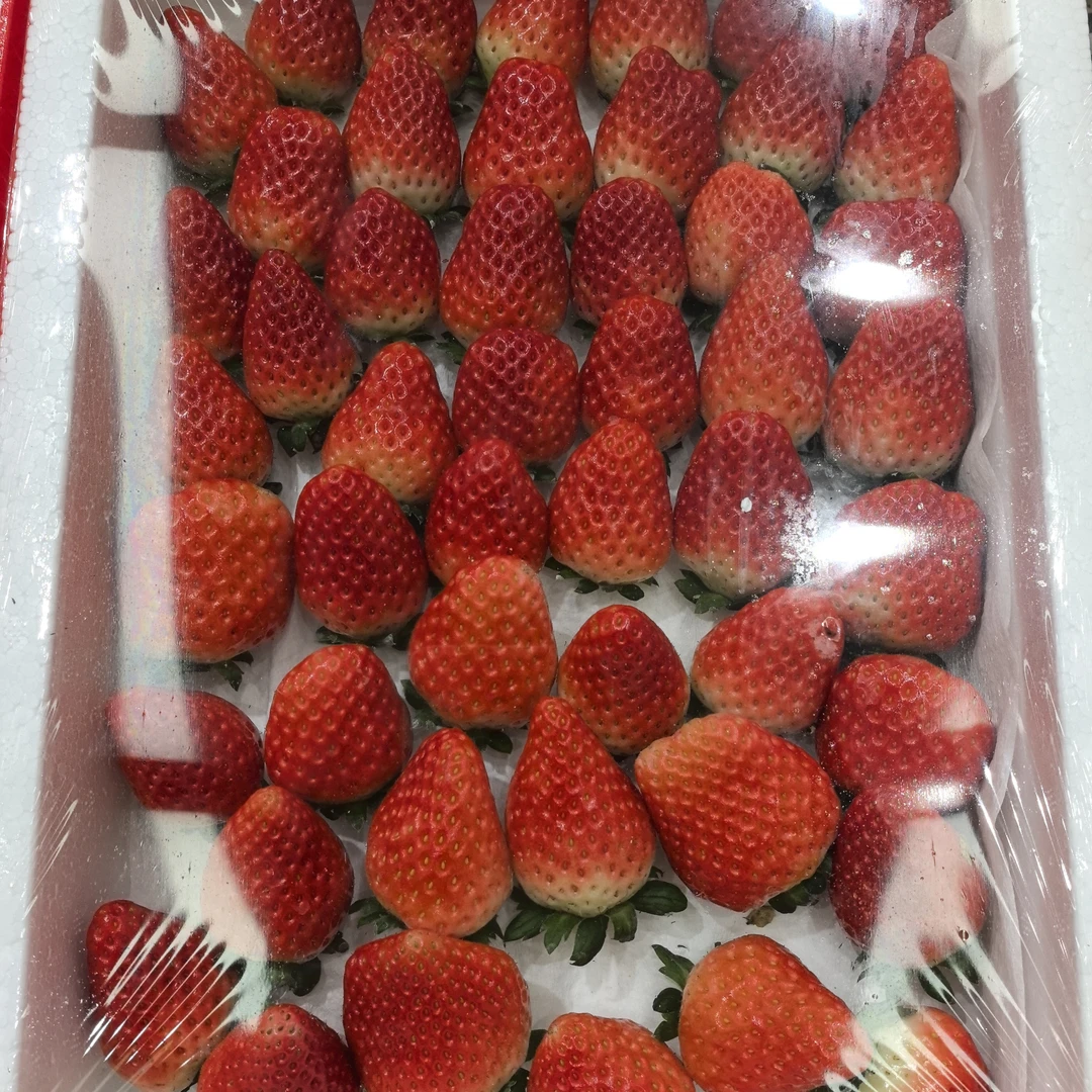果切整箱草莓
