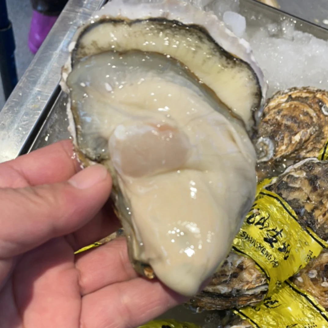 乳山生蚝3斤15元［3斤5-6个］