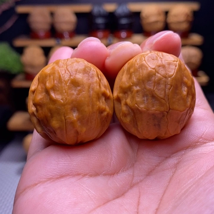 木质类云铁甲壳虫45号