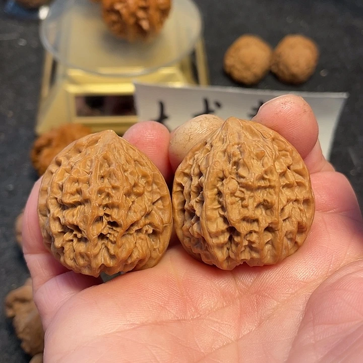 文玩核桃把件野牛