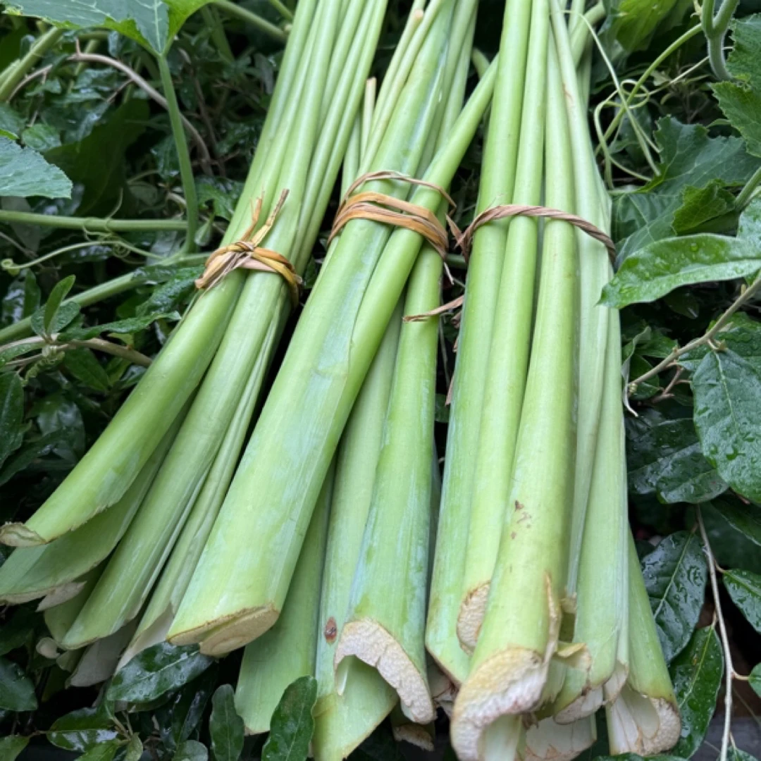 湘西农家新鲜广菜