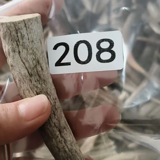 林***肆鹿角鹿角鹿角鹿角鹿角鹿角