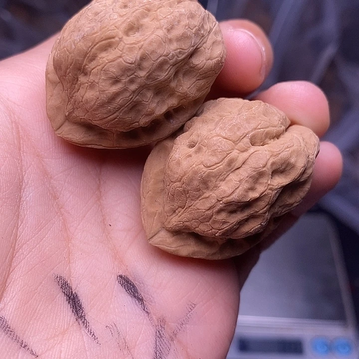 文玩核桃把件   162