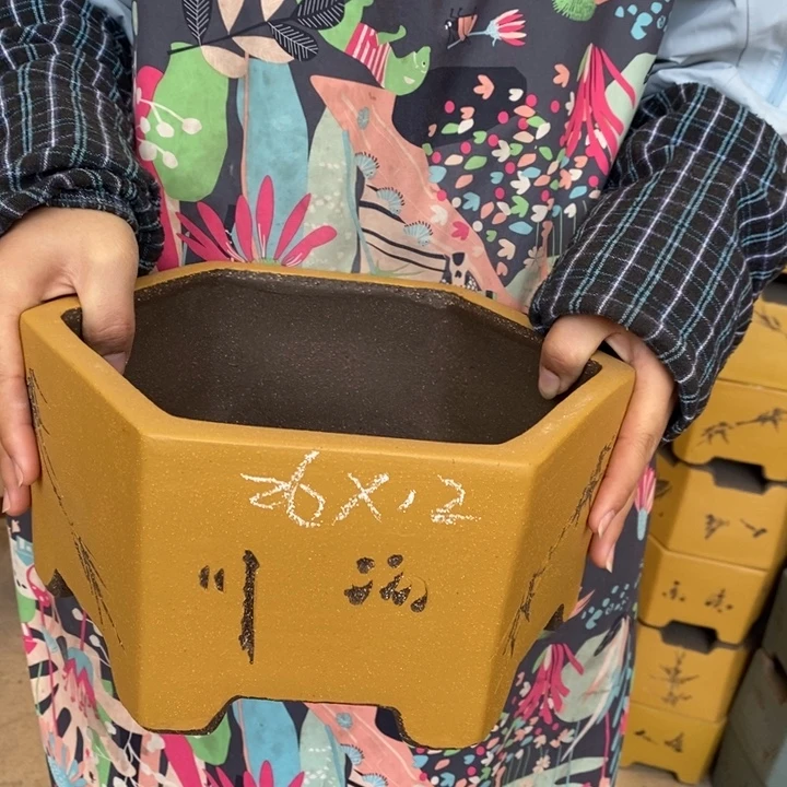 紫砂花盆只顾看手机的