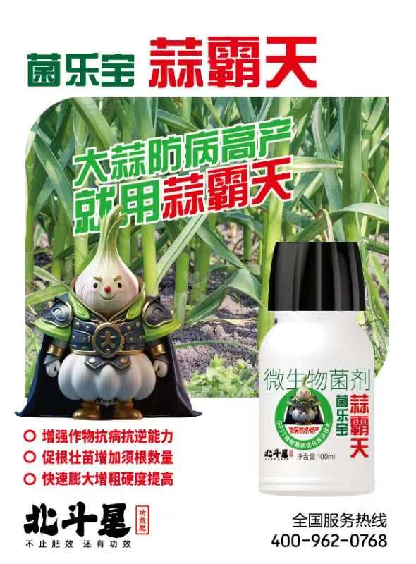 蒜霸天抗病抗逆增产