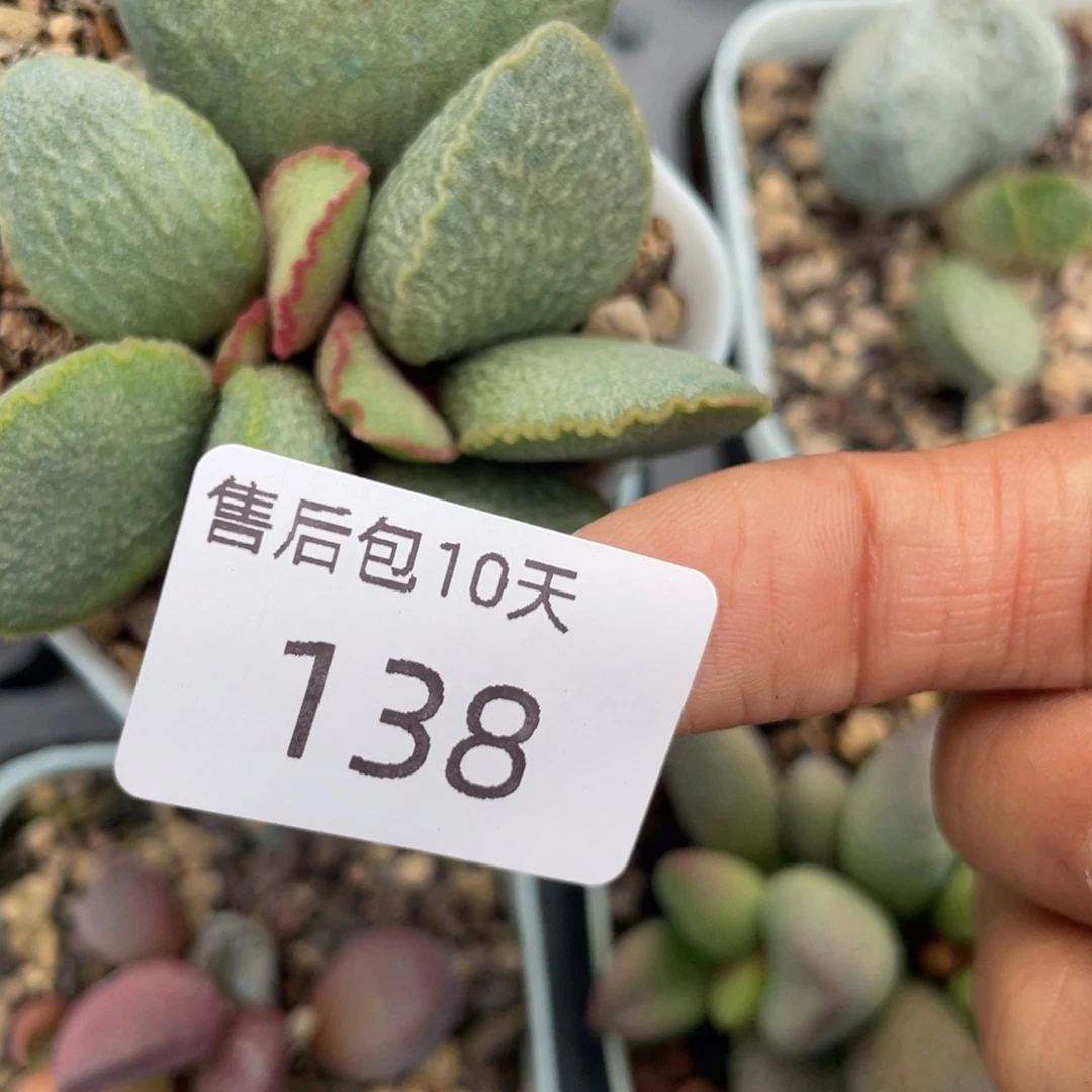 福利。   福利。