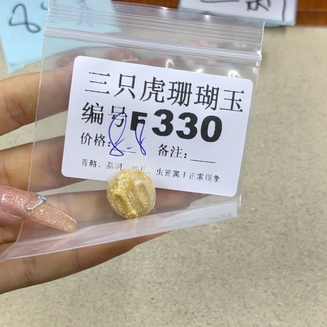 彩***鱼未镶嵌h硅化珊瑚（珊瑚玉）
