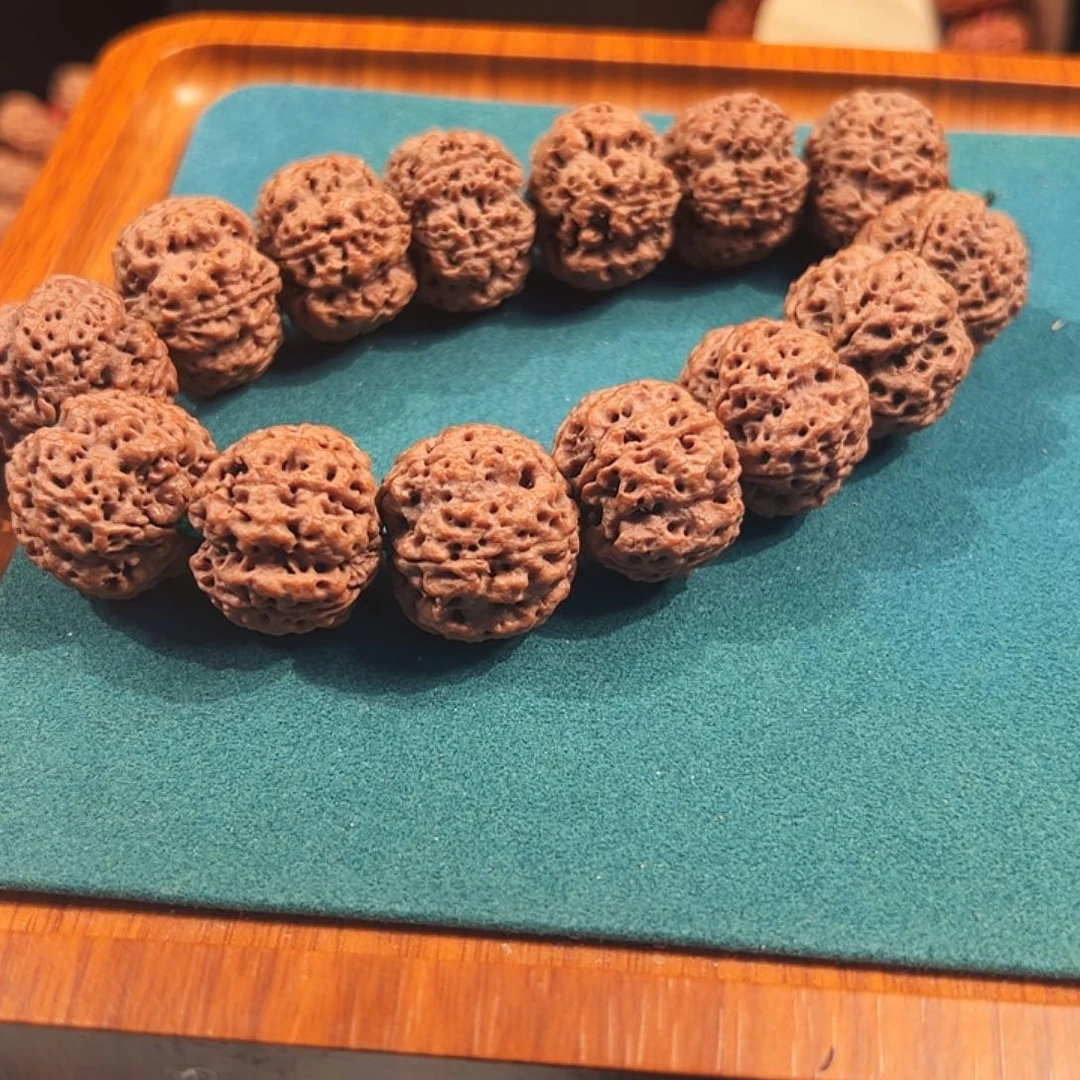 吊坠金刚菩提龙牙