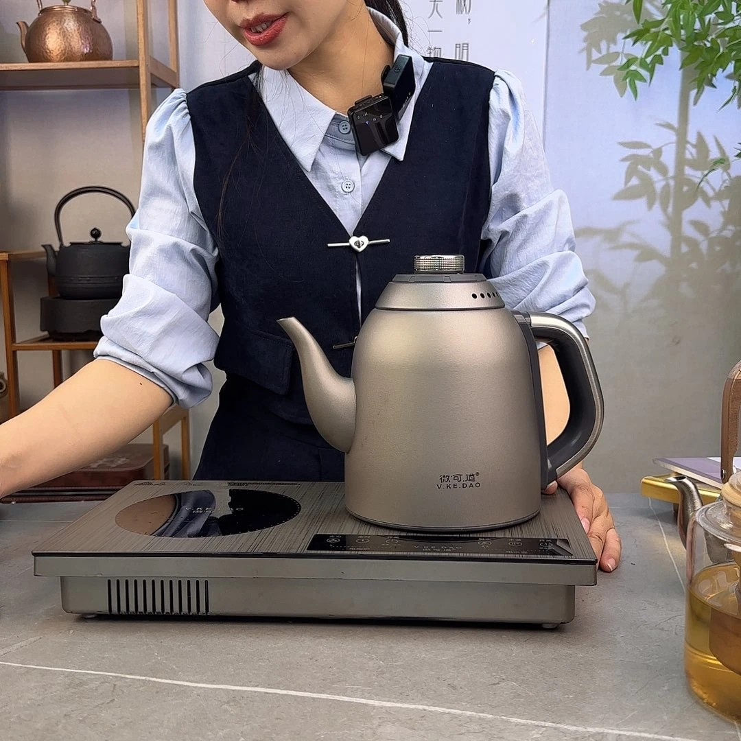 ****哥微可道纯钛煮茶器