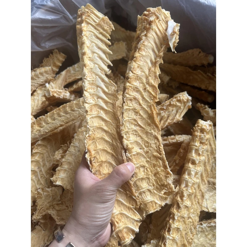 南澳岛新鲜鳕鱼骨煲汤鲜香的鱼骨头深海新鲜天然晒干海产品干货