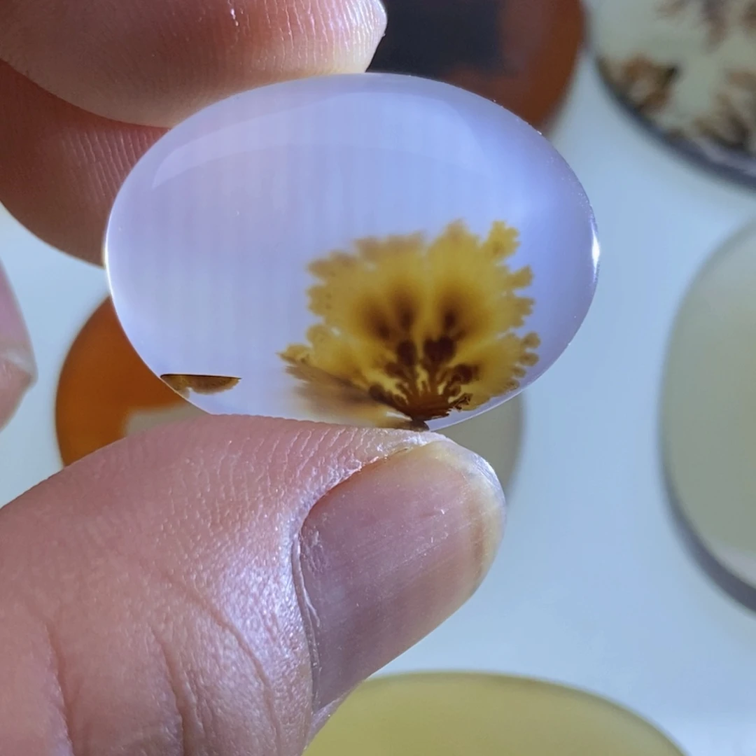 【闪购商品】未镶嵌颈饰玛瑙/玉髓文***遥