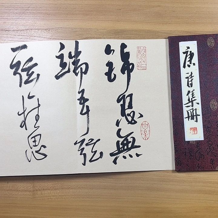 书法中书协会员作品