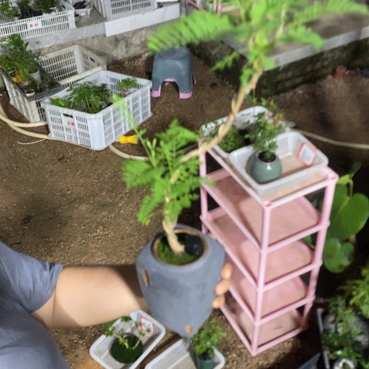 何***兮完全开放退款拉黑一物一拍417